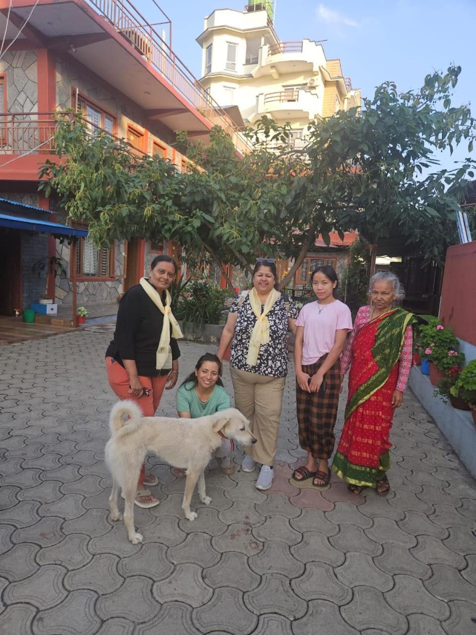 Pokhara Metro Eco Hotel Extérieur photo